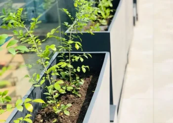 Fiber PLanter