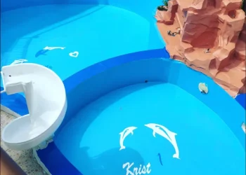 Fiber Pool