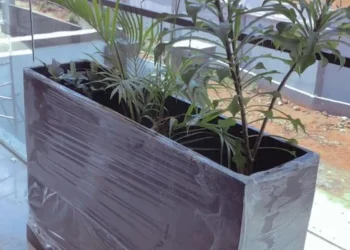 Fiber Planter